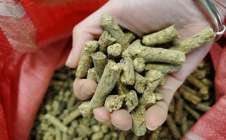 秸稈顆粒機就是將粉碎后的秸稈制成顆粒飼料，用于飼喂牛羊